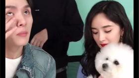 可可幂在线视频观看,在线视频盛宴背后的精彩故事