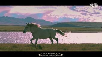 泳装新歌曲在线视频