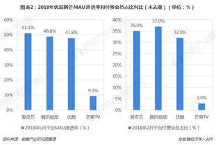 在线视频 成本,从策划到发布的全方位解析