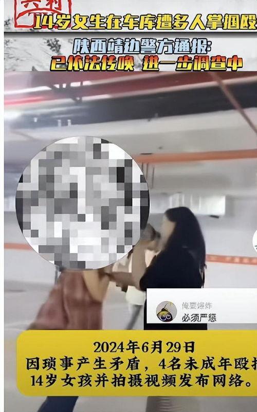 霸凌在线视频,揭秘在线视频中的霸凌现象