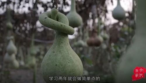 宝葫芦在线视频