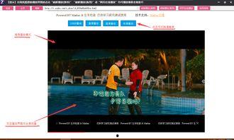 优酷在线视频解析在线观看,轻松在线观看热门影视